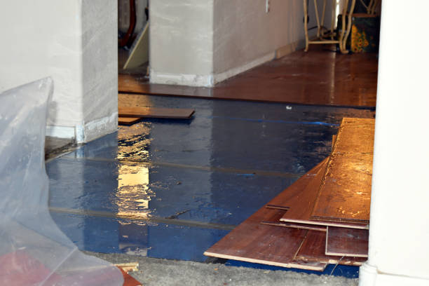 Professional Flood Damage Repair technician working in Mendon, IL